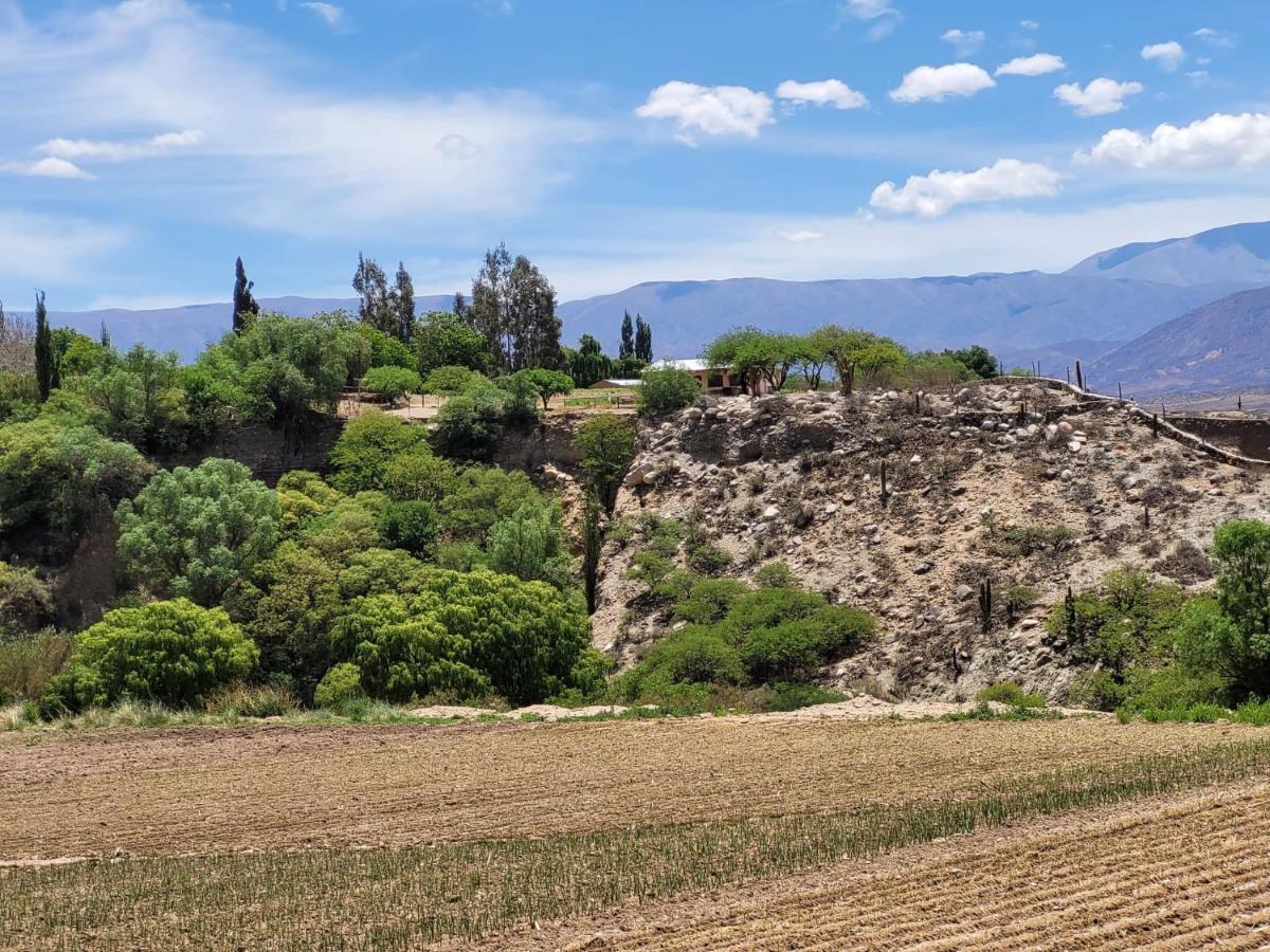 Cachí Casa De Campo Huaka Huasy מראה חיצוני תמונה